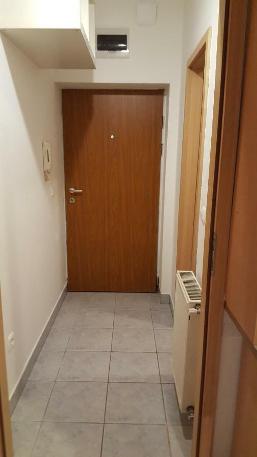 Liget Apartment, Terrace, Free Parking, Ac Budapest Exteriör bild